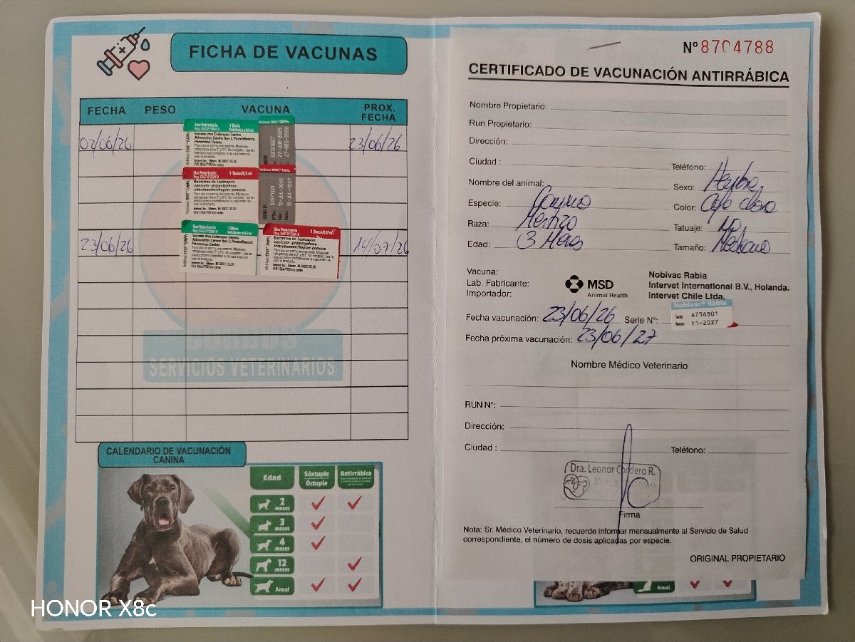 Foto de Mila