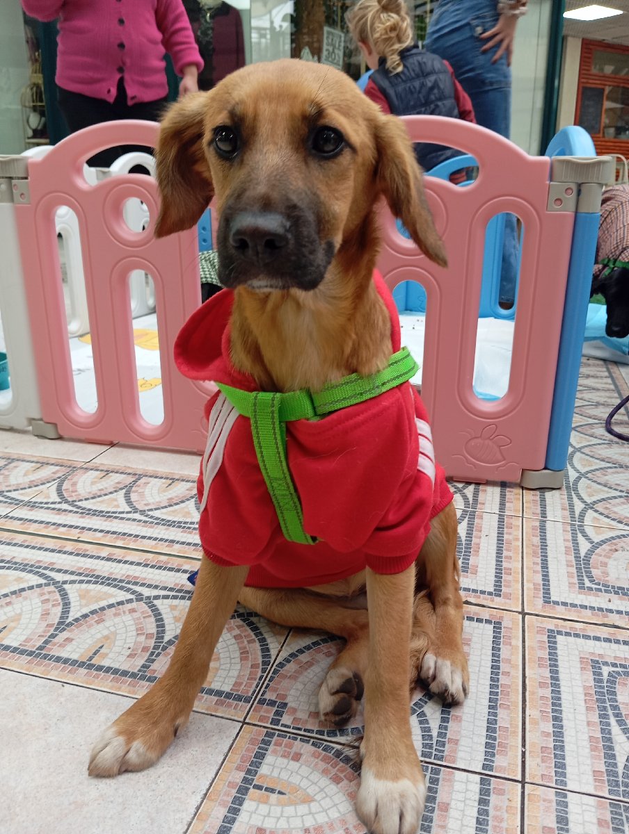 Foto de Miel