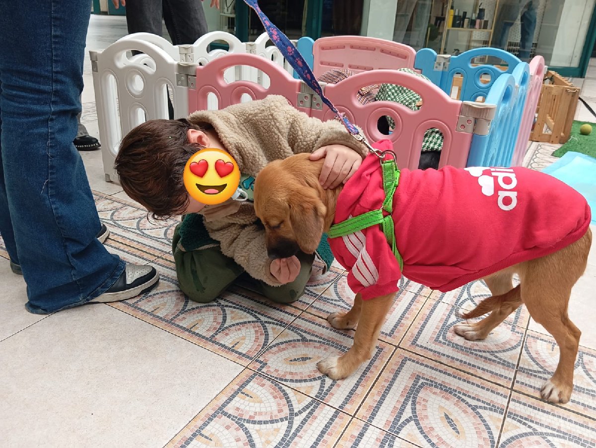 Foto de Miel