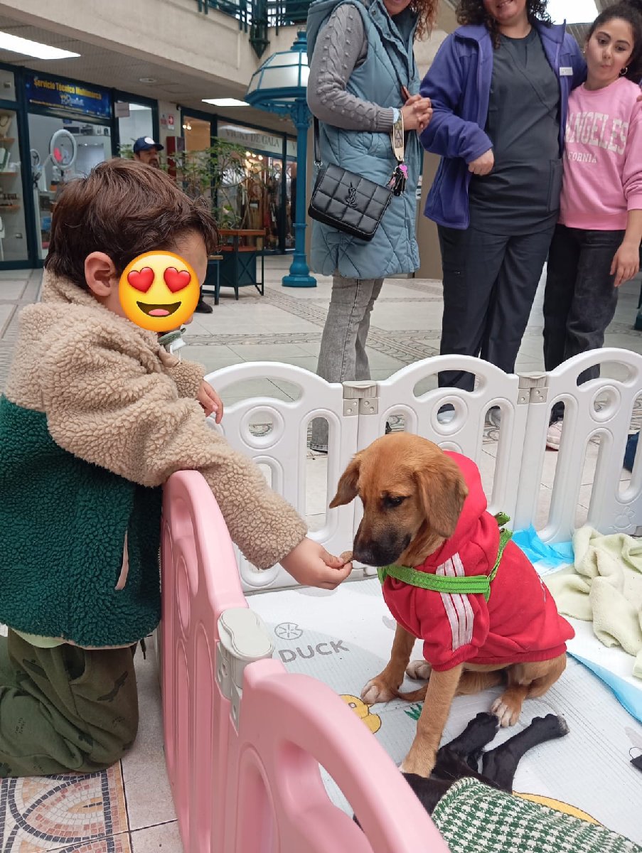 Foto de Miel