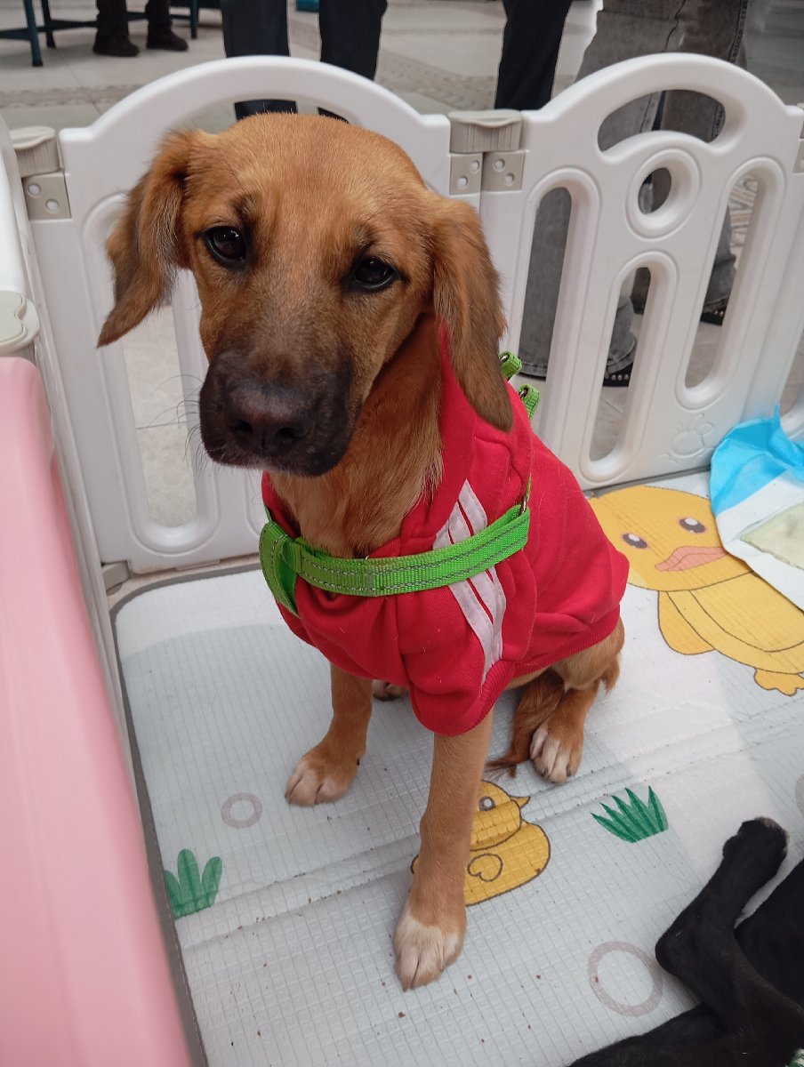 Foto de Miel