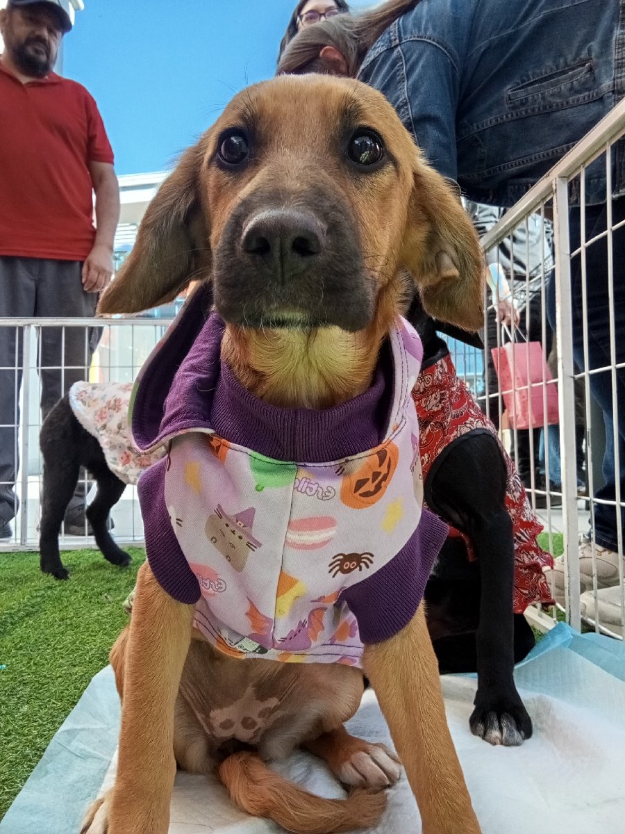 Foto de Miel