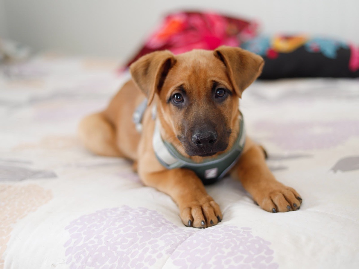 Foto de ARGOS