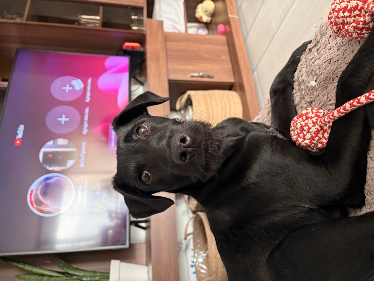Foto de Theo