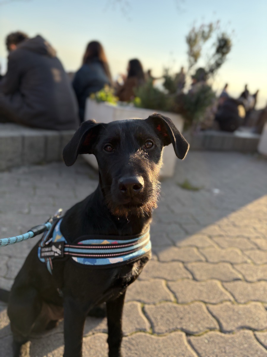 Foto de Theo