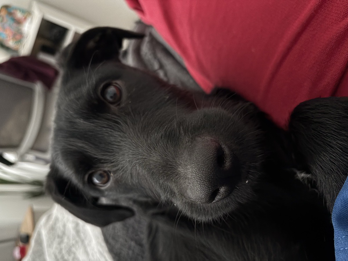 Foto de Theo