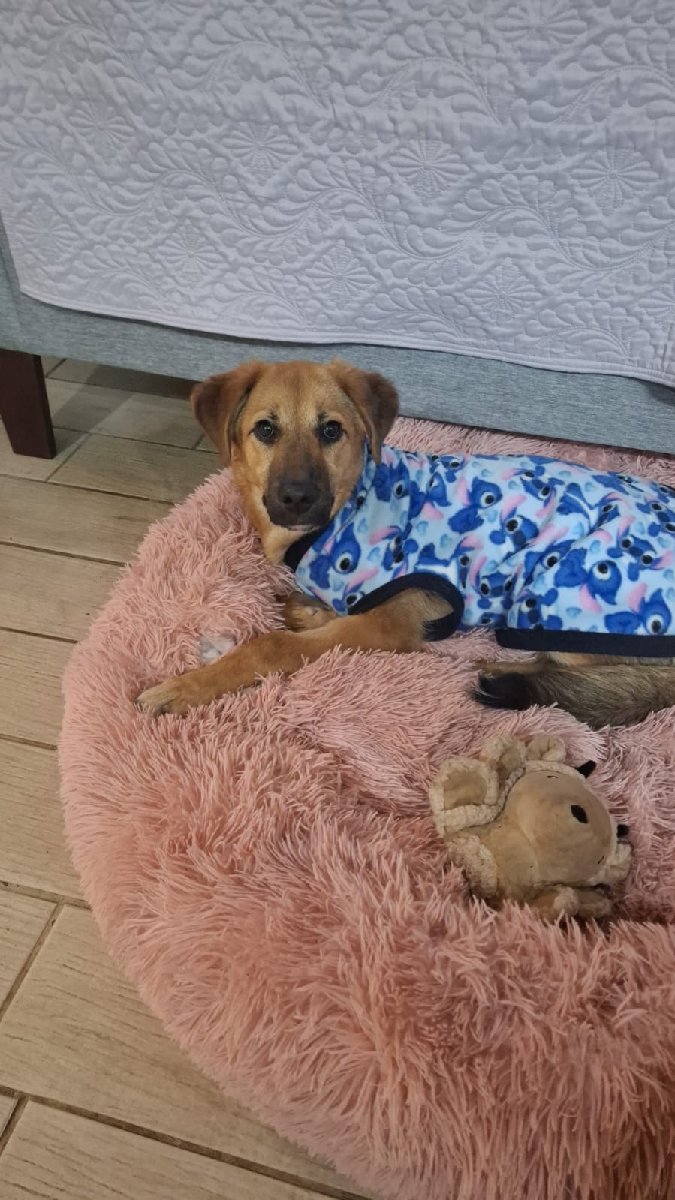 Foto de Luna