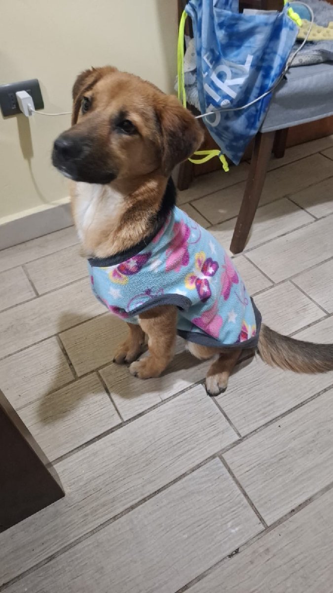 Foto de Luna