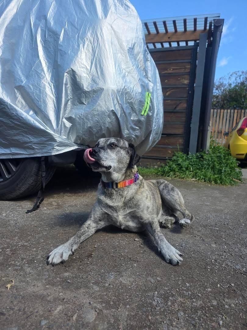 Foto de Junior💚