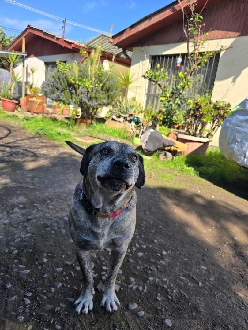 Foto de Junior💚