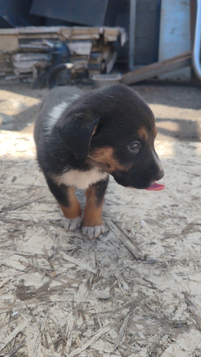 Foto de cloe