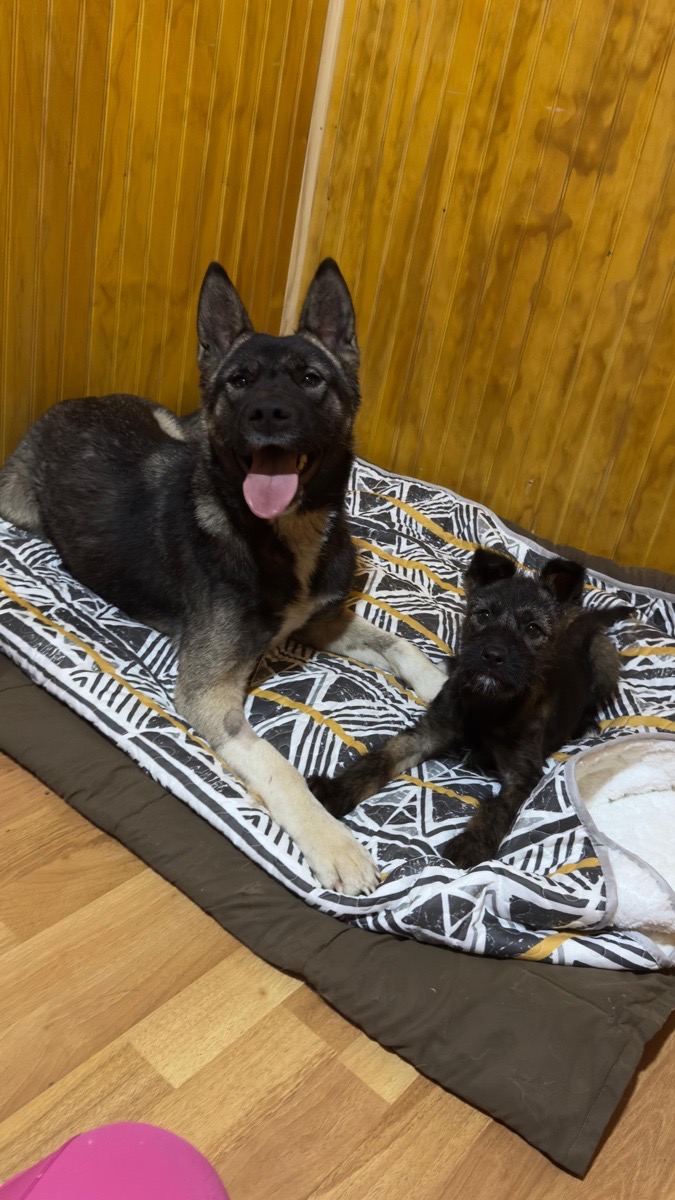 Foto de Kika