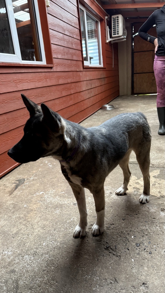 Foto de Kika