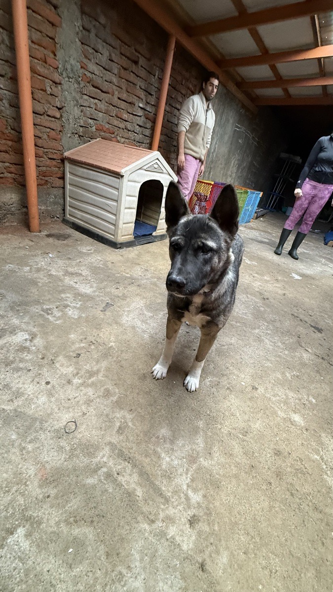 Foto de Kika