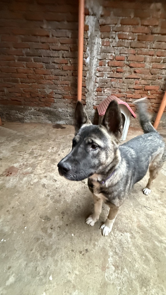 Foto de Kika