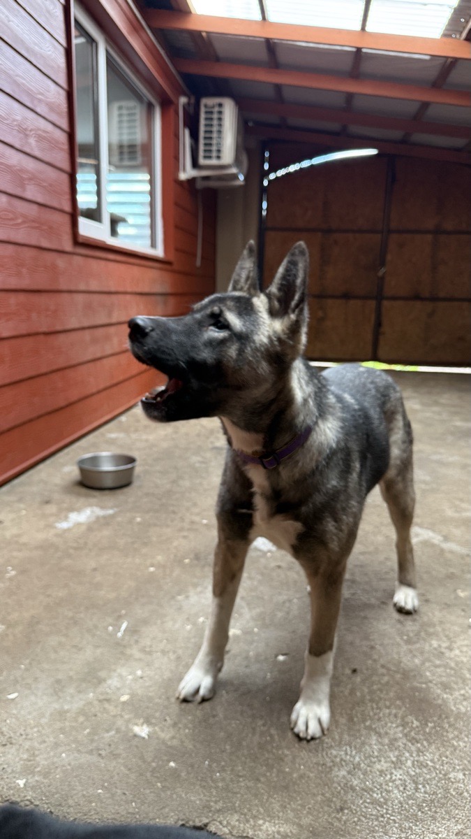 Foto de Kika