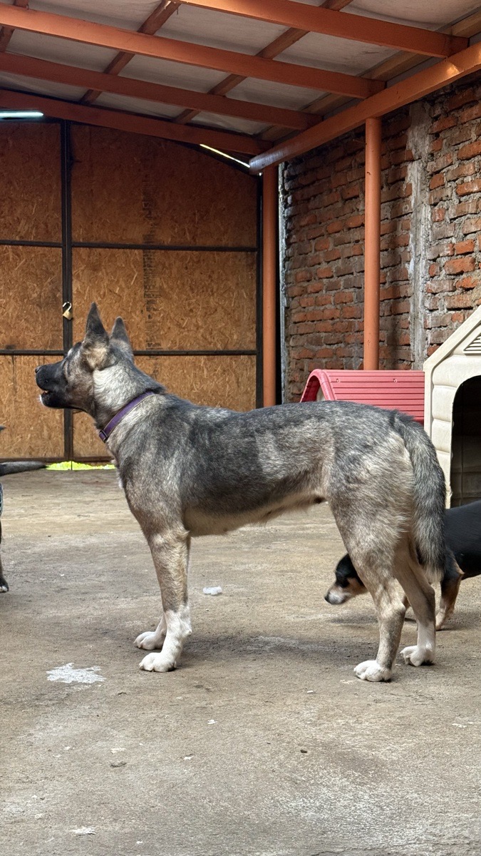 Foto de Kika