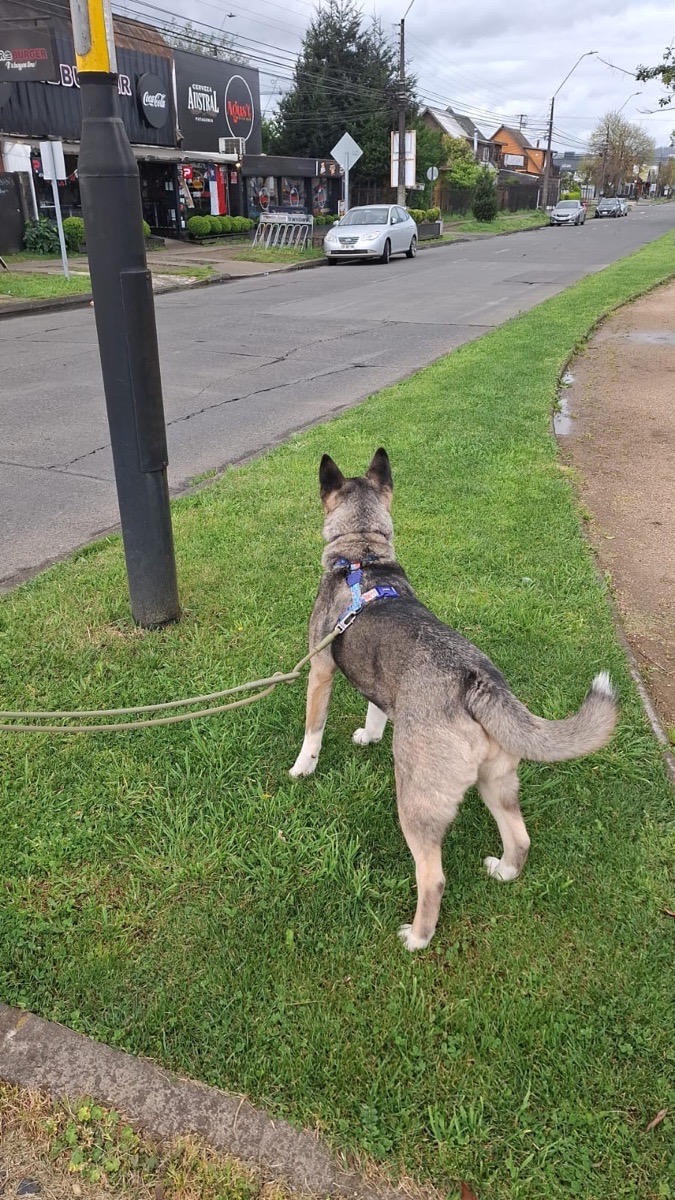 Foto de Kika