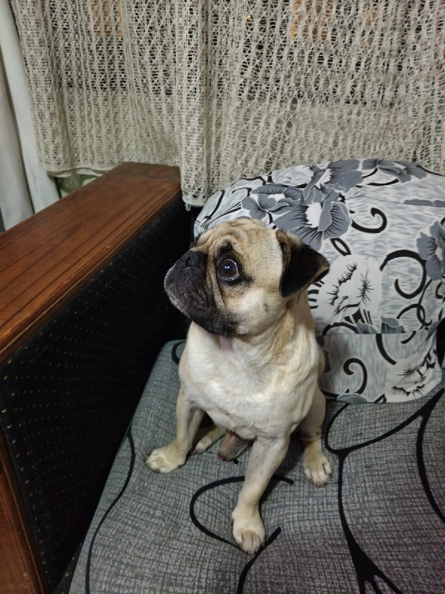 Foto de Julián