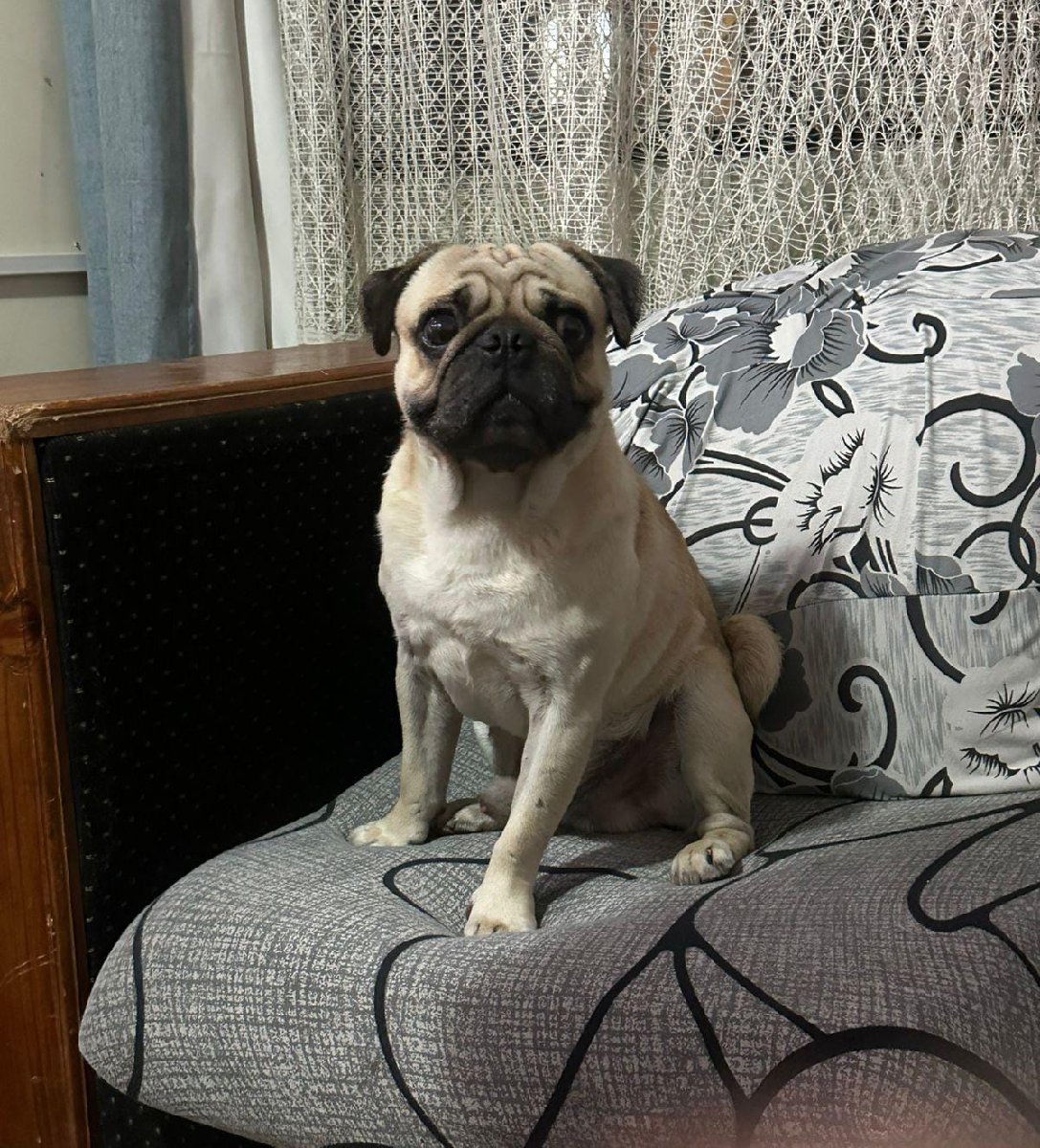 Foto de Julián