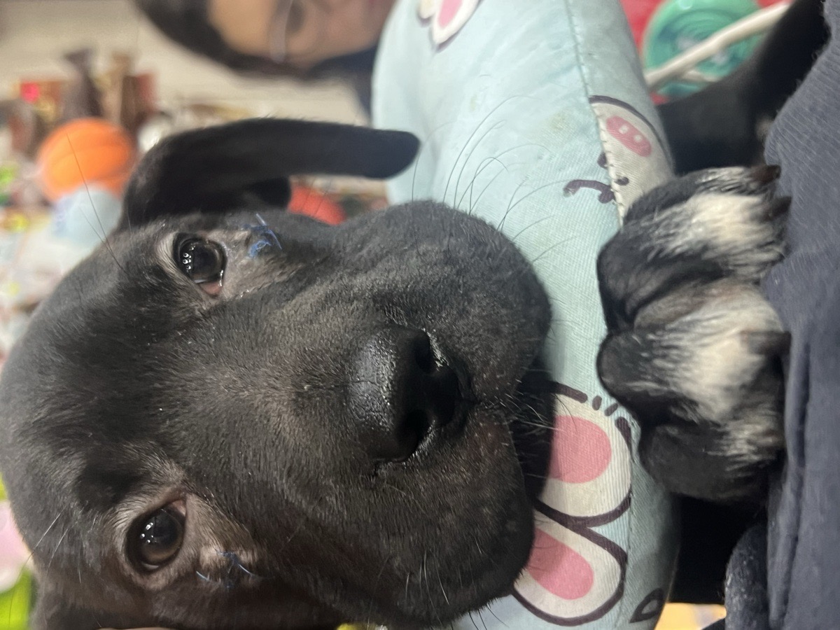 Foto de Lía