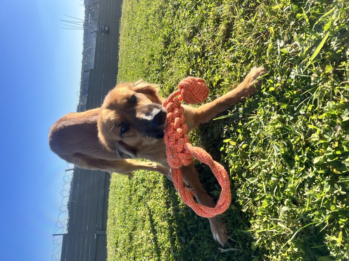 Foto de Nala