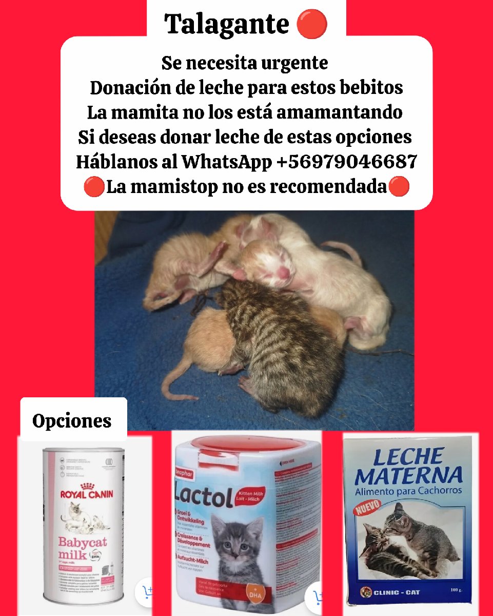 Foto de Bebés necesitan urgente leche materna