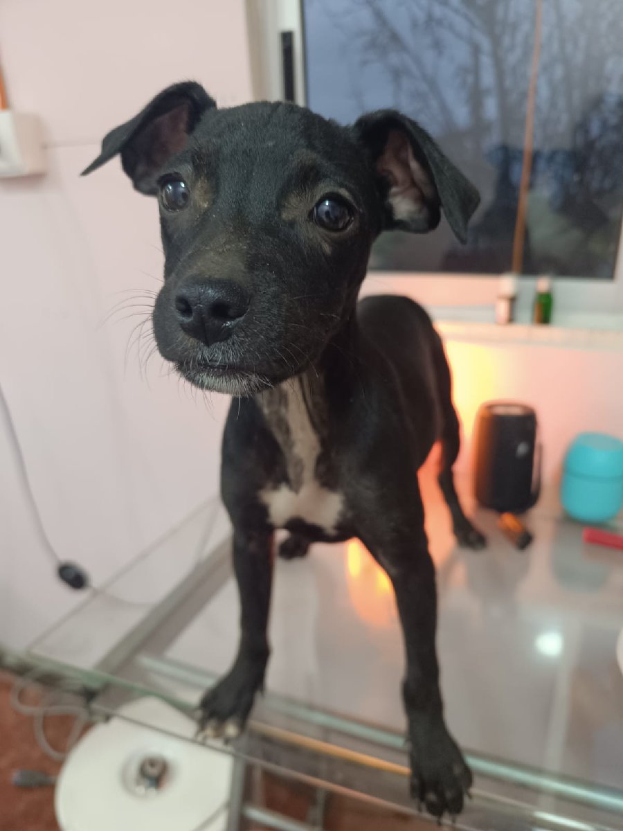 Foto de Morita