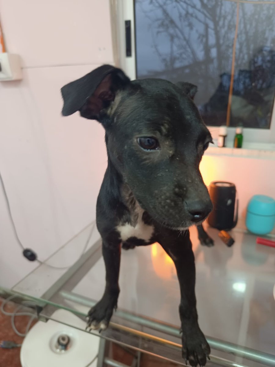 Foto de Morita
