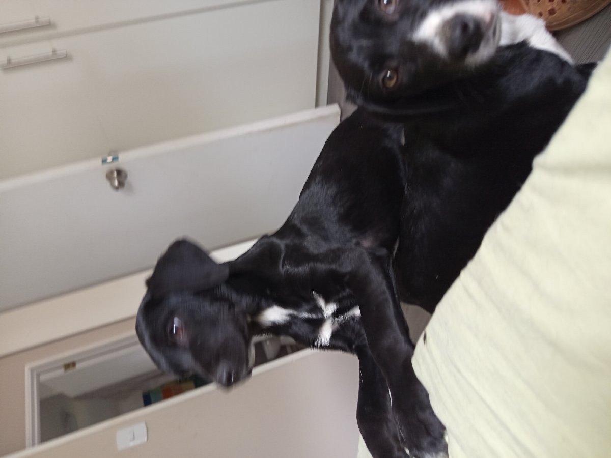 Foto de Manolito