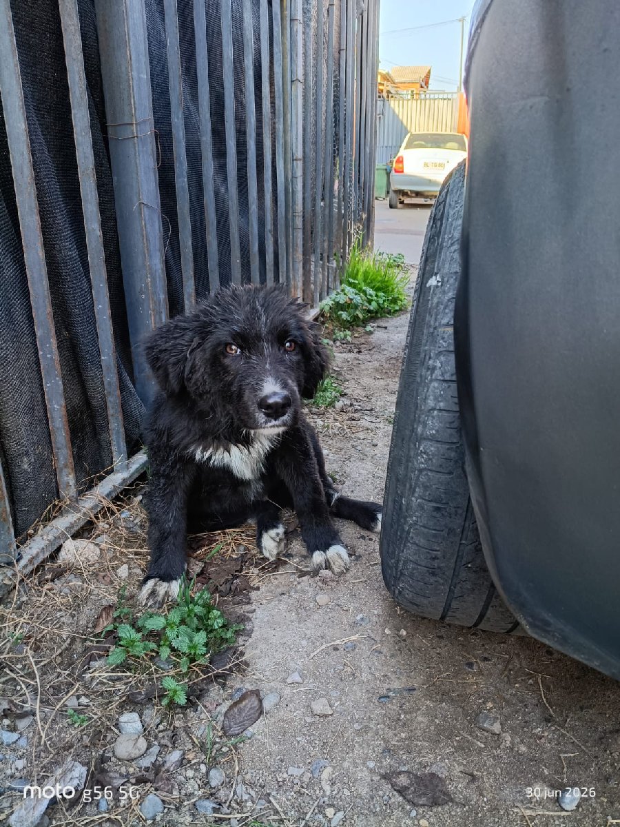 Foto de OSITO❣️