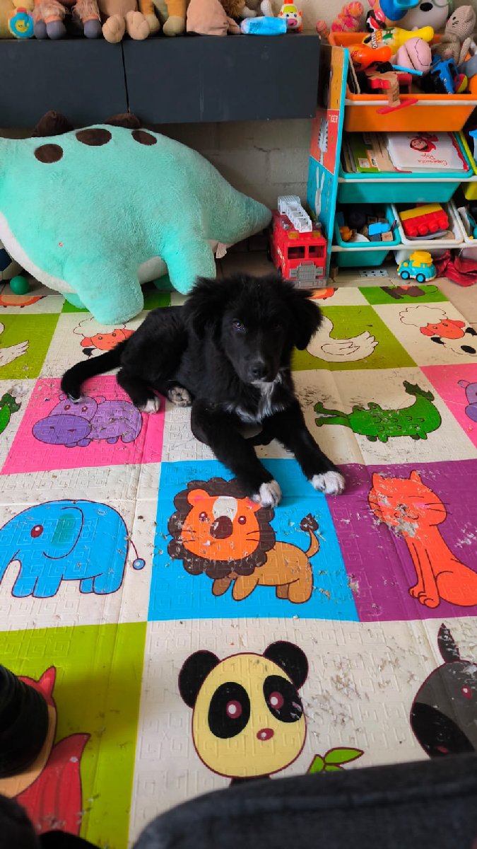 Foto de OSITO❣️