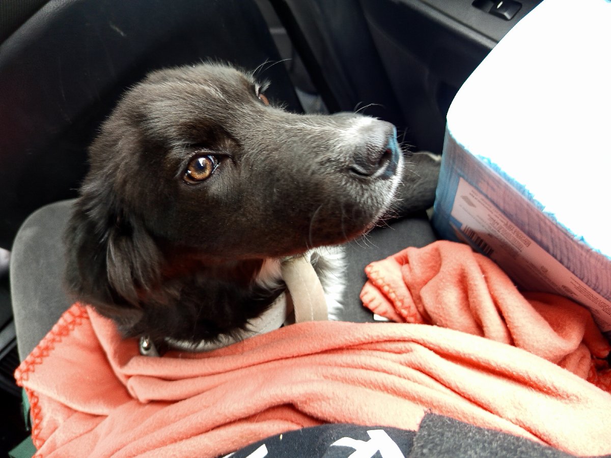 Foto de OSITO❣️