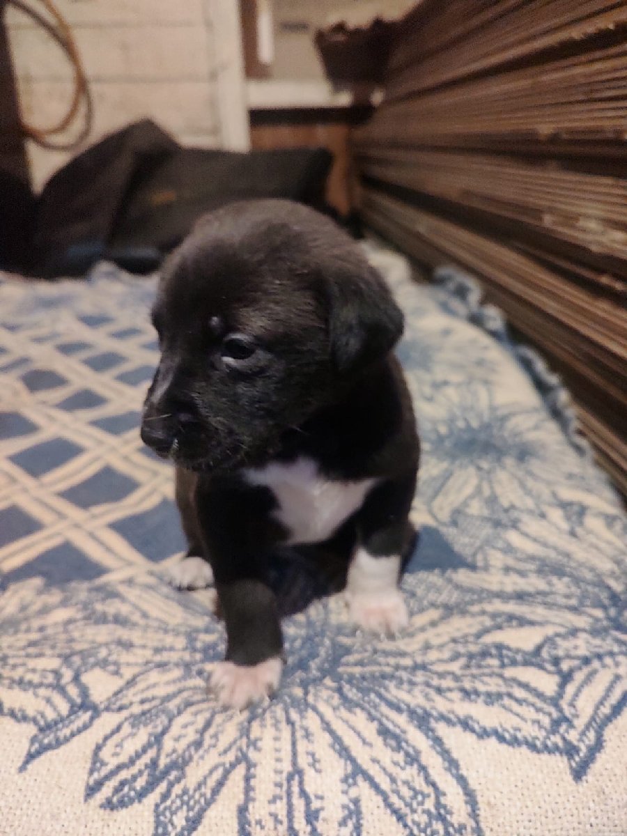Foto de Lilith