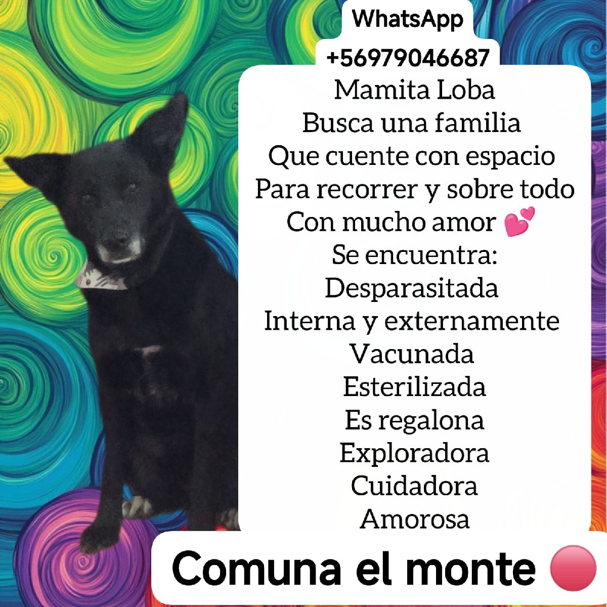 Foto de Mamita