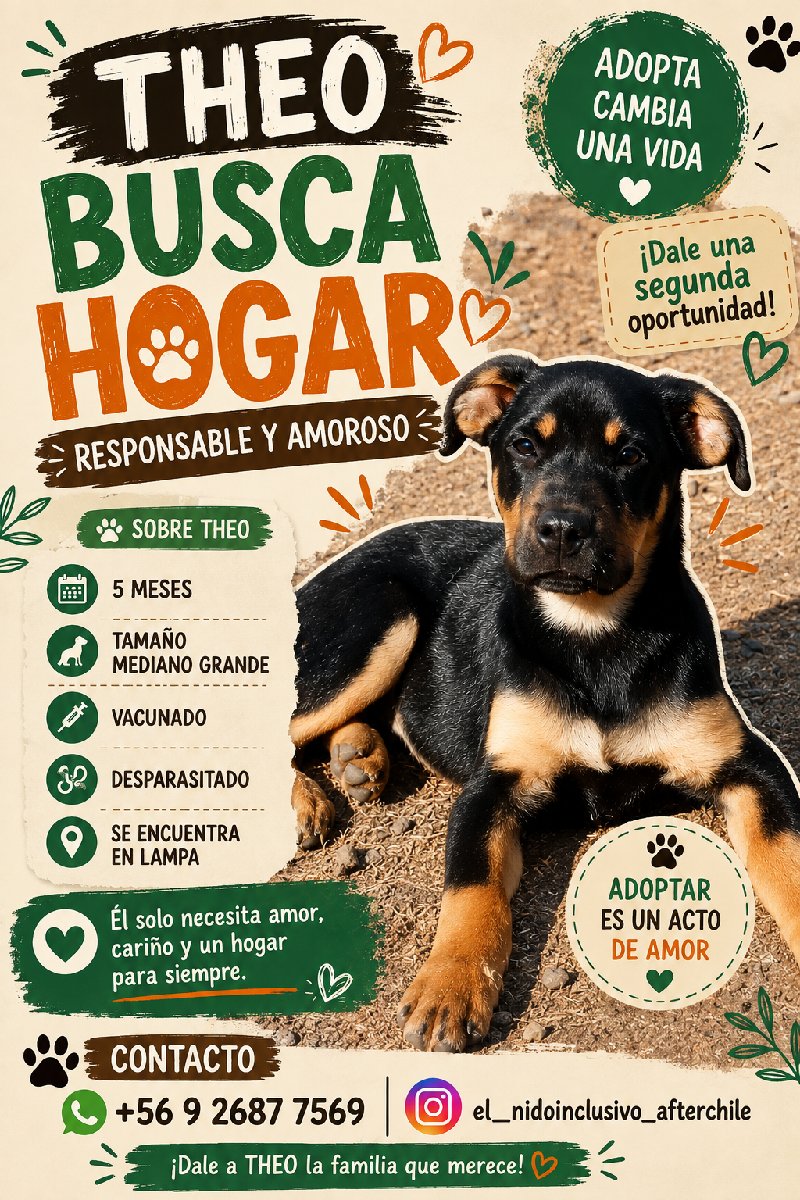 Foto de Perrito
