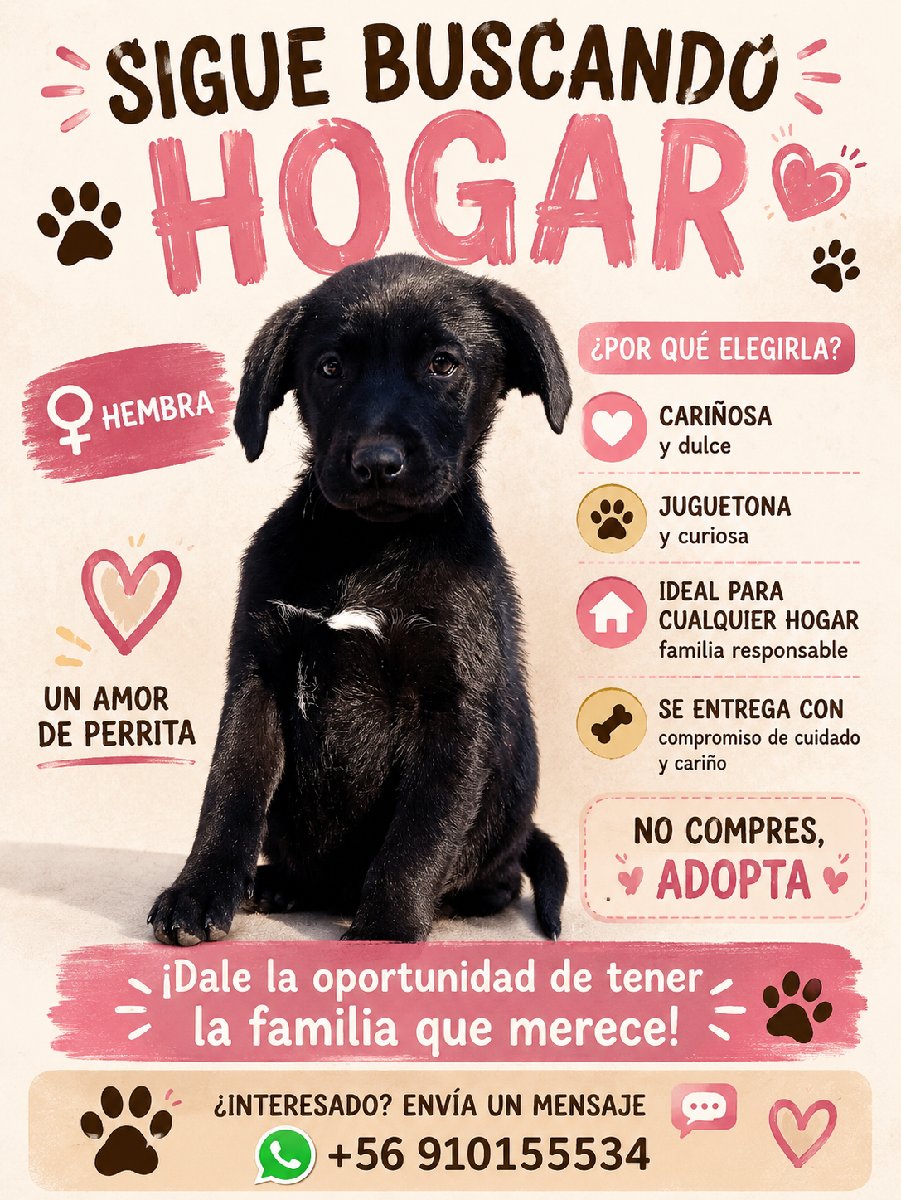 Foto de Perrito