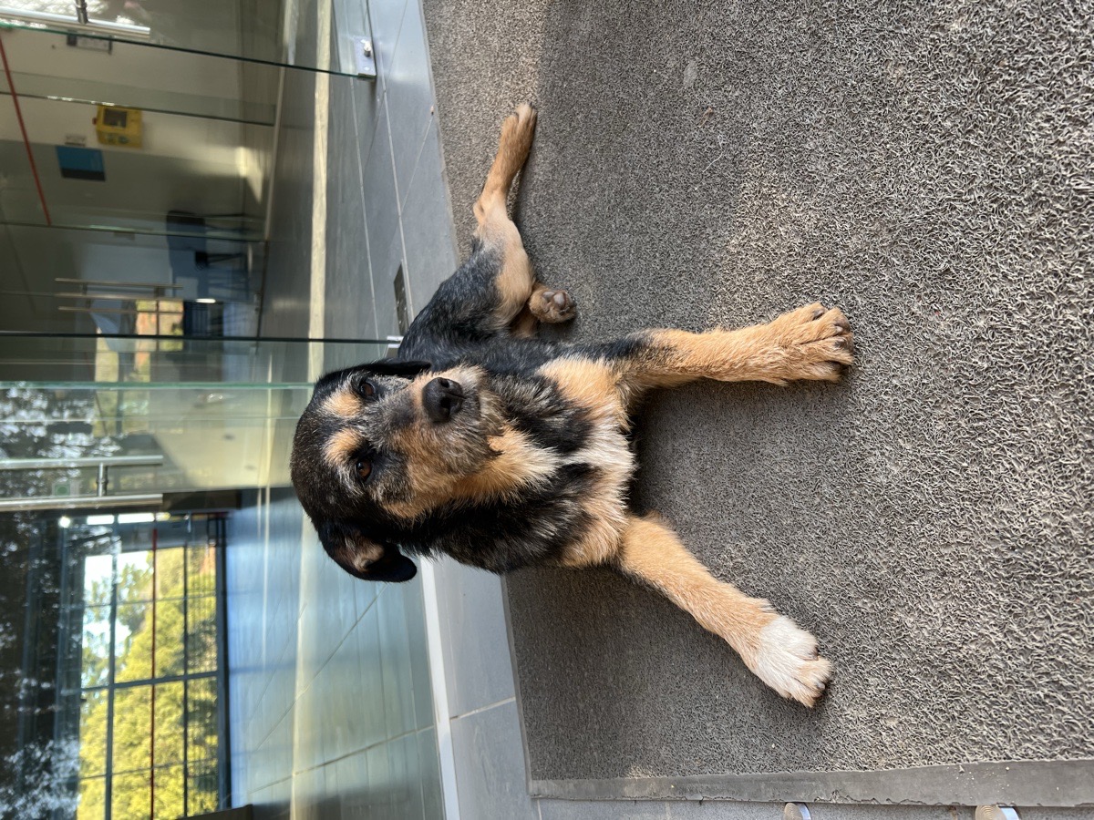 Foto de Mila